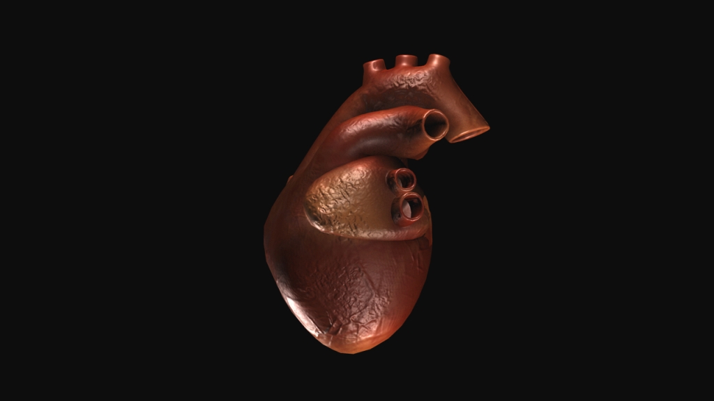 Heart