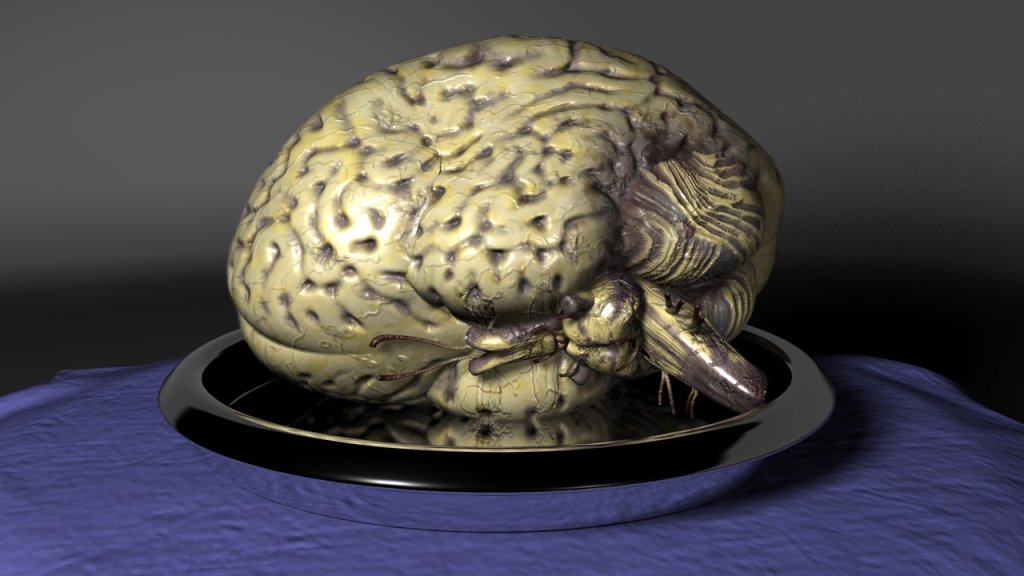 brain_001