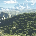 FlyOverJungle